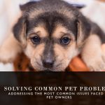 Solving Common Pet Problems